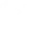 Website Development